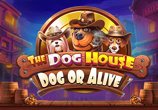 The Dog House - Dog or Alive